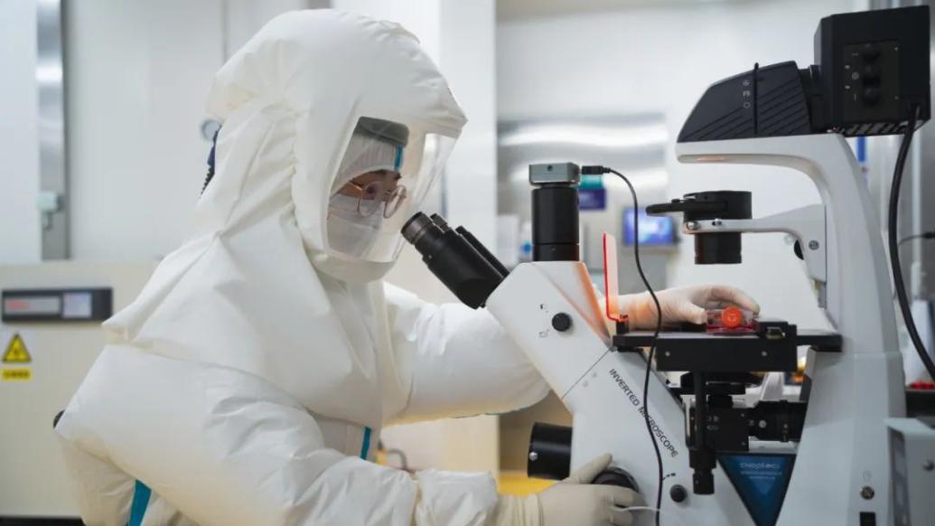 中國生物武漢生物制品研究所成功分離猴痘病毒 并開始疫苗相關研究