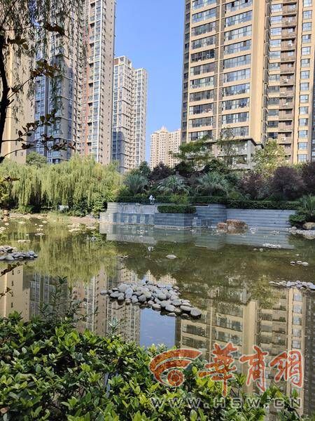 webwxgetmsgimg (4).jpeg