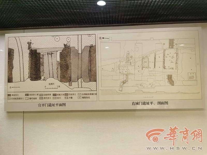 IMG_20221010_121310.jpg IMG_20221010_121310.jpg