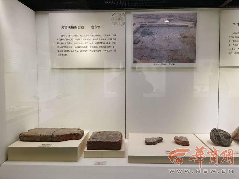 IMG_20221010_121732.jpg IMG_20221010_121732.jpg