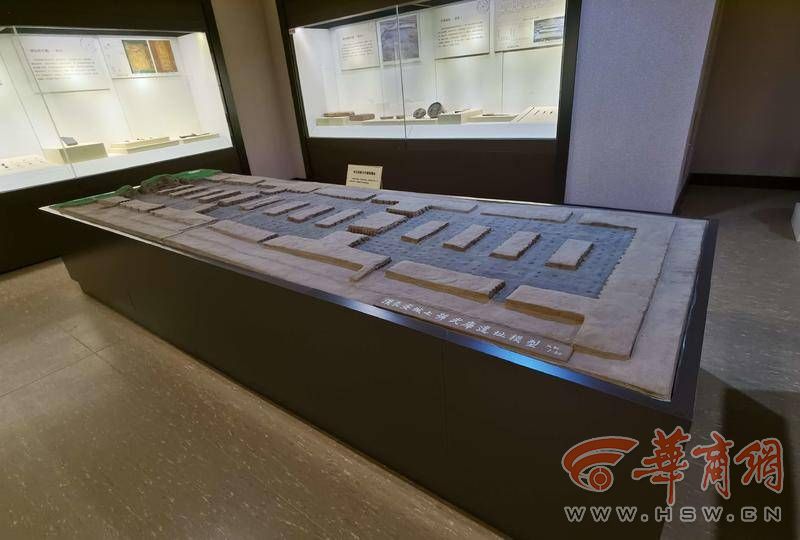 IMG_20221010_122011.jpg IMG_20221010_122011.jpg