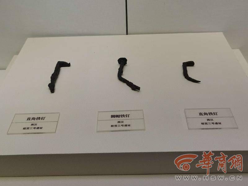 IMG_20221010_121655.jpg IMG_20221010_121655.jpg