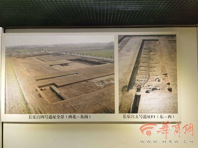 IMG_20221010_121548.jpg IMG_20221010_121548.jpg