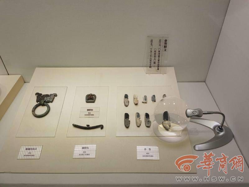 IMG_20221010_121424.jpg IMG_20221010_121424.jpg