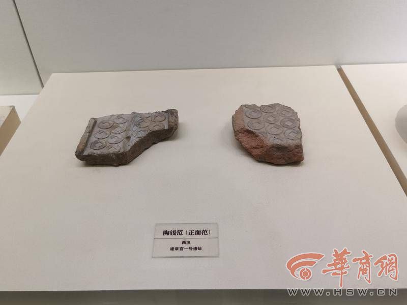 IMG_20221010_121823.jpg IMG_20221010_121823.jpg