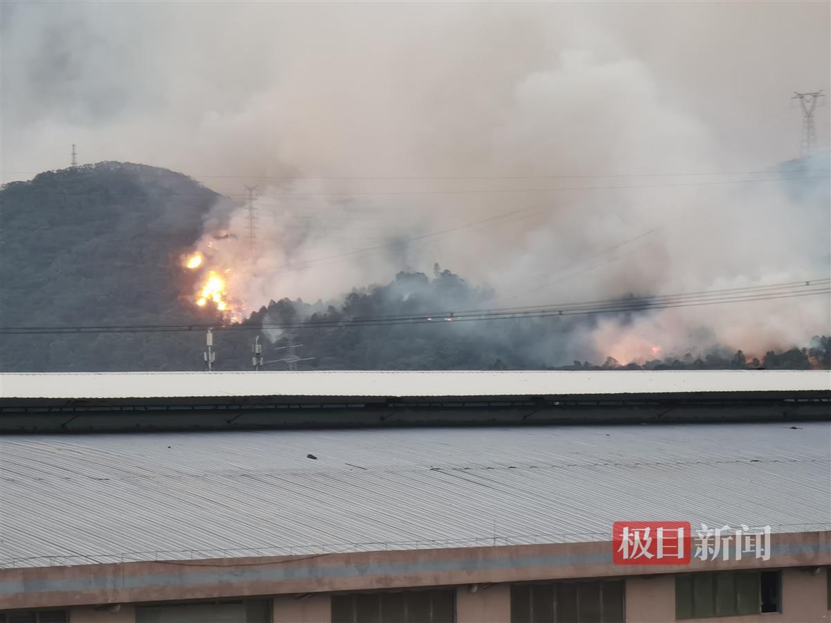 广东佛山突发山火晚8时仍在处置，附近工厂：已提前让员工下班