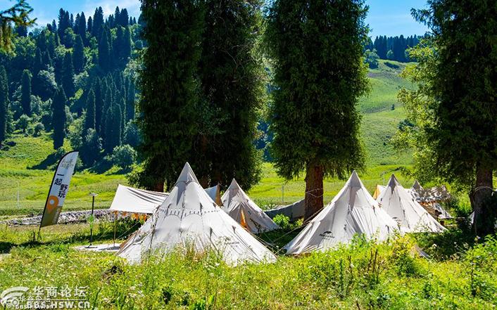 走进新疆：库尔德宁的露营基地