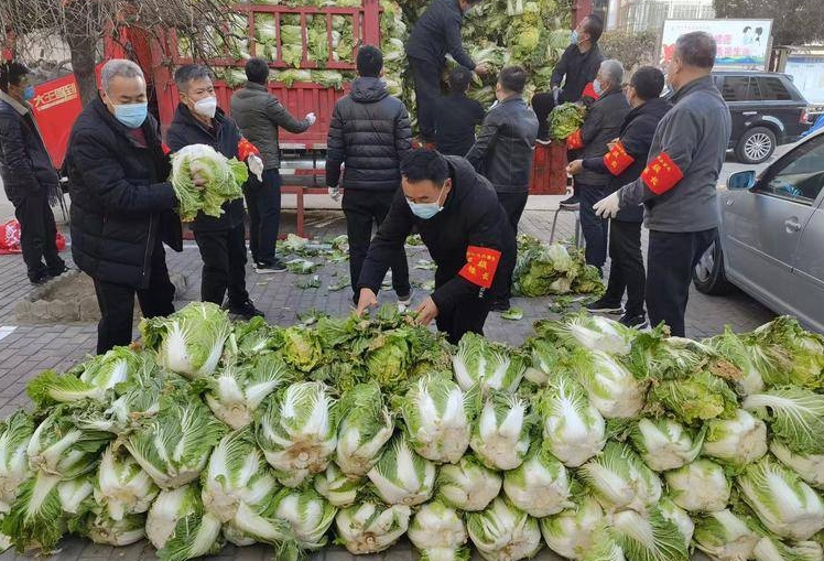 得知白菜滞销 一律师自费购买10吨大白菜送给神木居民
