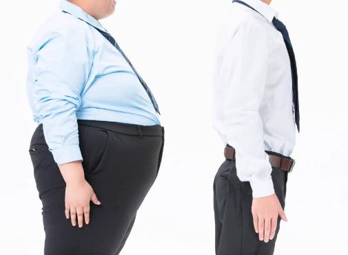 为什么肥胖的人越来越多？主要是这5个原因！