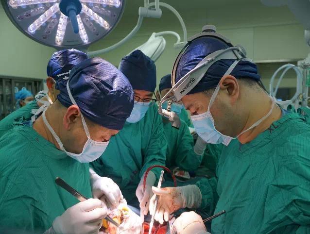 西安交大一附院成功實施首例心腎聯合移植手術