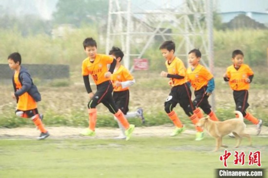 廣西鄉村足球場“串”起孩子們的“世界杯”