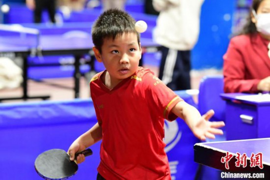 图为比赛中的小球手。　陕西省乒乓球羽毛球网球运动管理中心供图