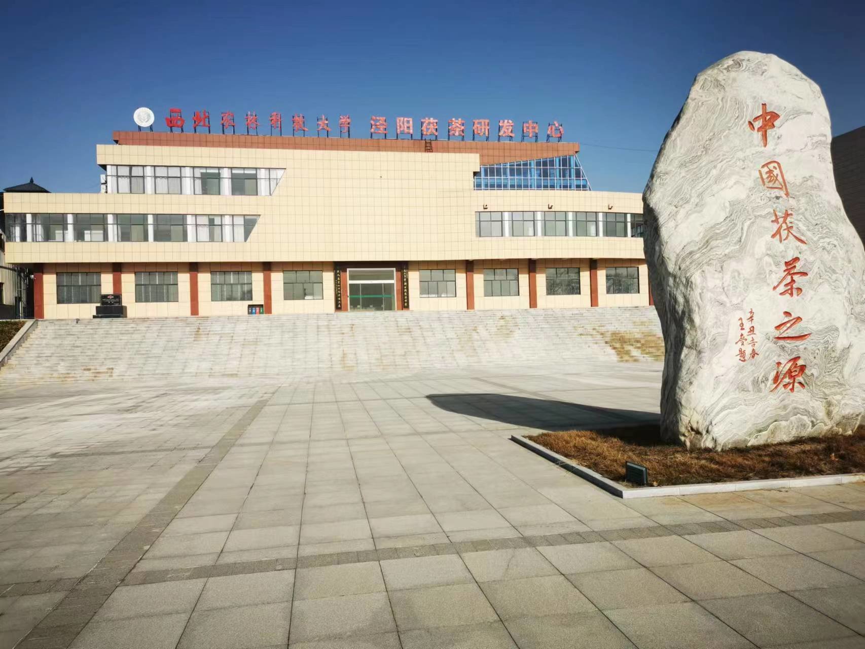 “遇见咸阳·泾渭有约”网上主题线上宣传活动之泾阳茯茶