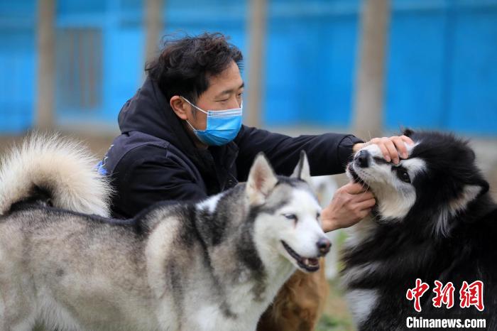 寄养基地工作人员正在查看狗狗情况。　王磊 摄