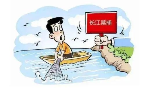 10起！2022年度汉中市长江流域禁捕典型案例发布