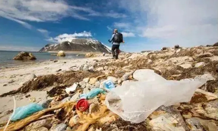 北极塑料碎片来自世界各地