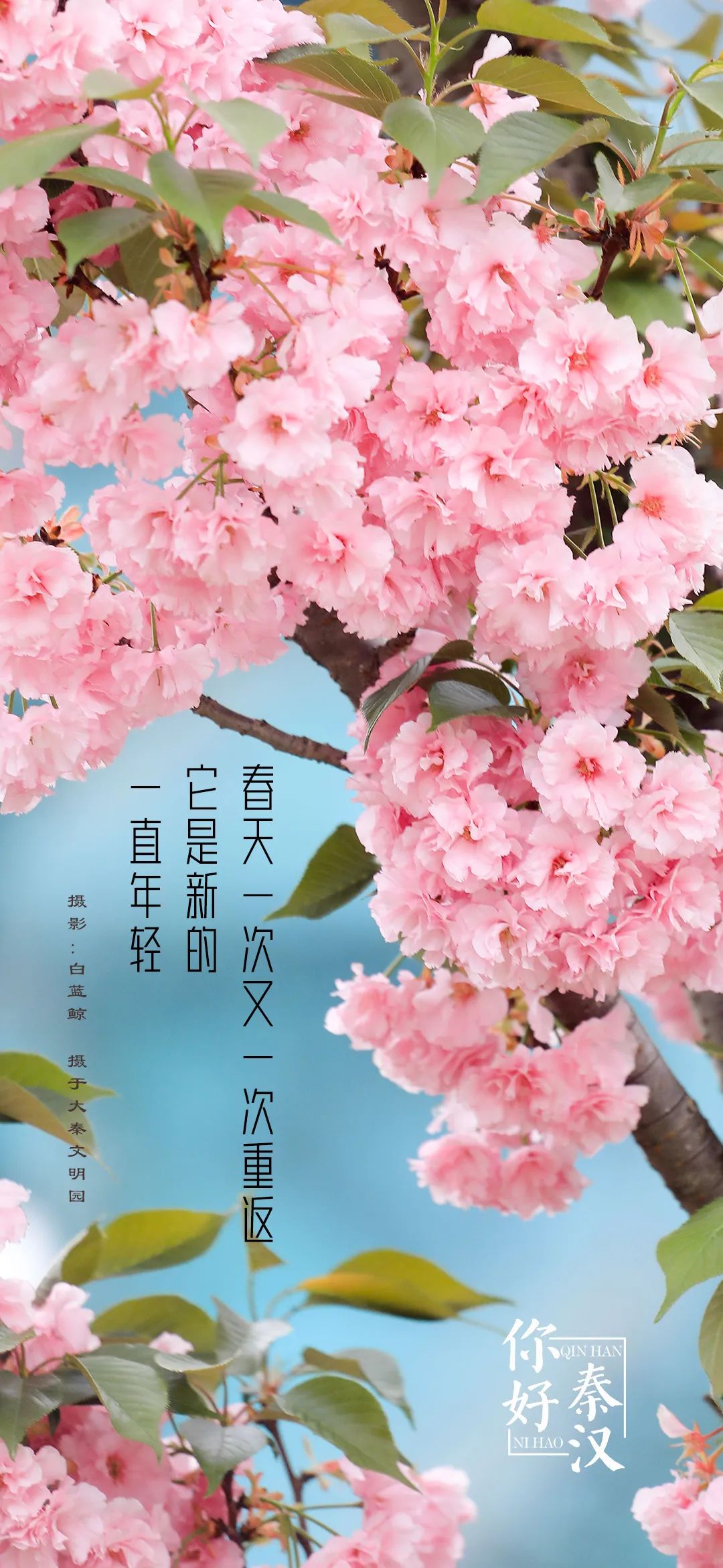 微信图片_20230313151707.jpg