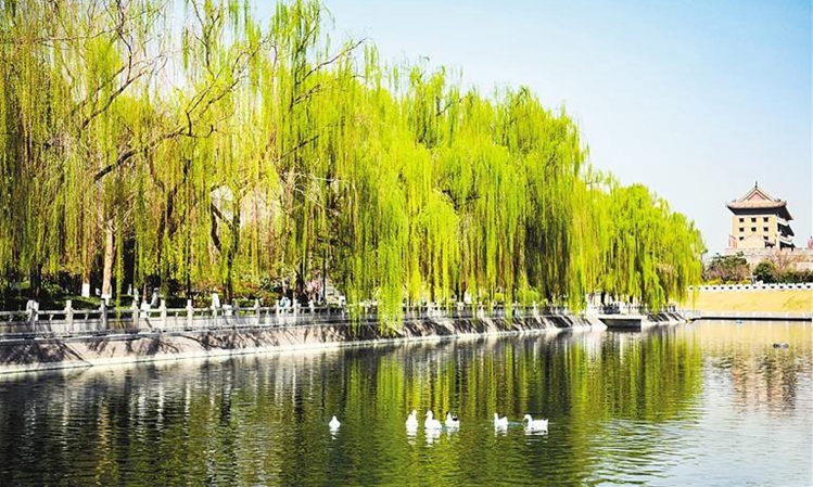 西安打造城市水系新格局 在春日邂逅水清岸绿