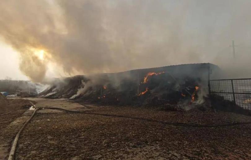 陕西一400平方米牛场起火损失约20万元 事故疑因烟头引发