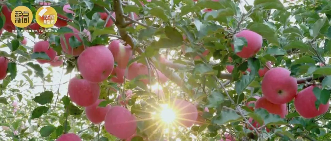 DltDpqu3OdIPRzd1.jpg 640 (2).jpg