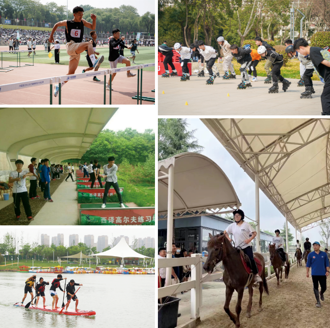 Arp2AR7xarqRwdyB.png image.png