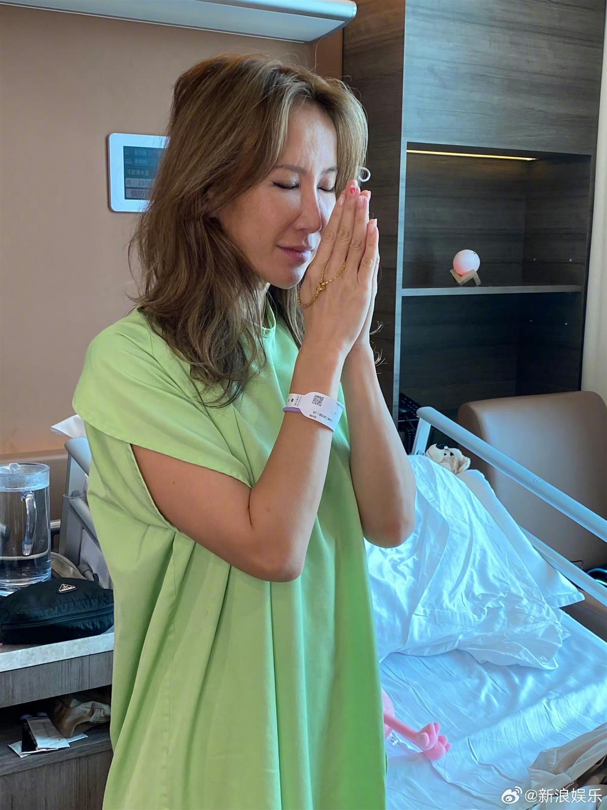 李玟奥斯卡颁奖典礼_李玟奥斯卡旗袍_李玟曾是首位登上奥斯卡华人歌手