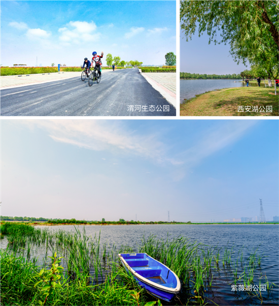 图片11.png