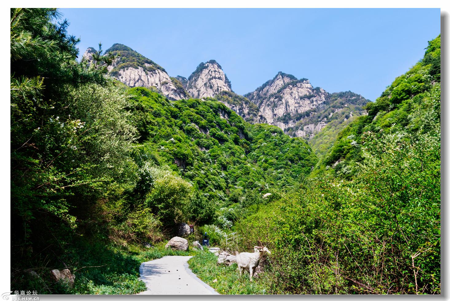 蓝田玉山蓝河风景区拍美媚