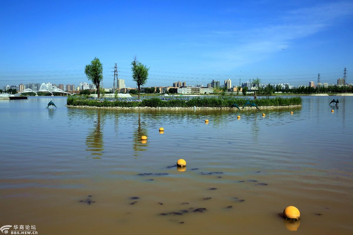 游走沣河金湾沙滩曹兴波摄影