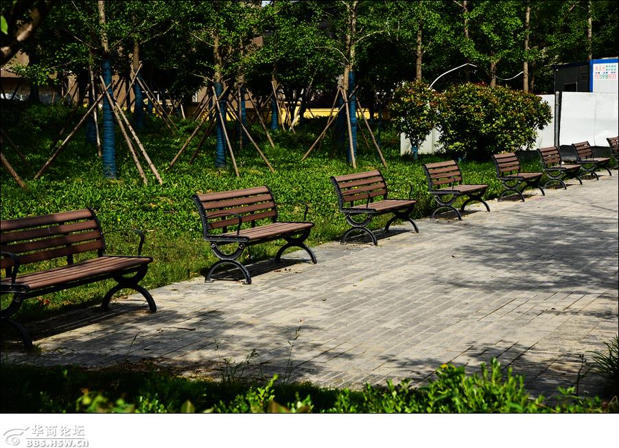 好消息咸阳又添新公园白马河公园建成对外开放