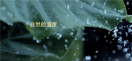 图片13.png