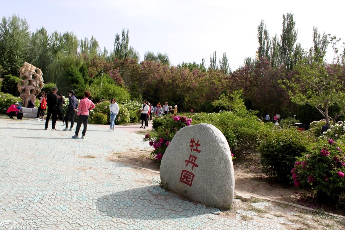 酒泉北郊公园随拍