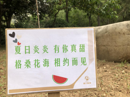 微信截图_20200525142225.png