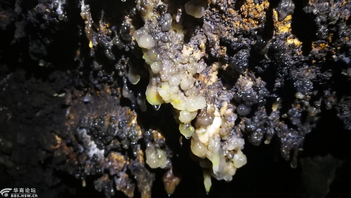 遇见"酒虫"---真正的洞酿洞藏