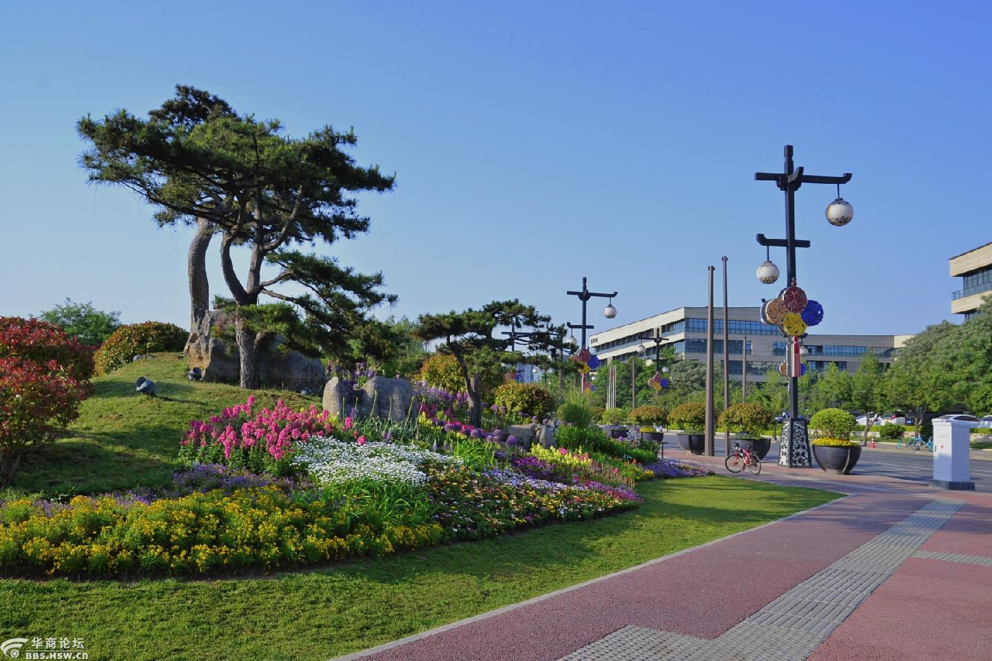 曲江绿化规格高品质好-西安论坛-华商论坛
