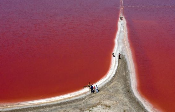 克里米亚盐湖粉色水面超惊艳