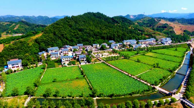 组图:商南三个坚持 全面推进全域旅游发展