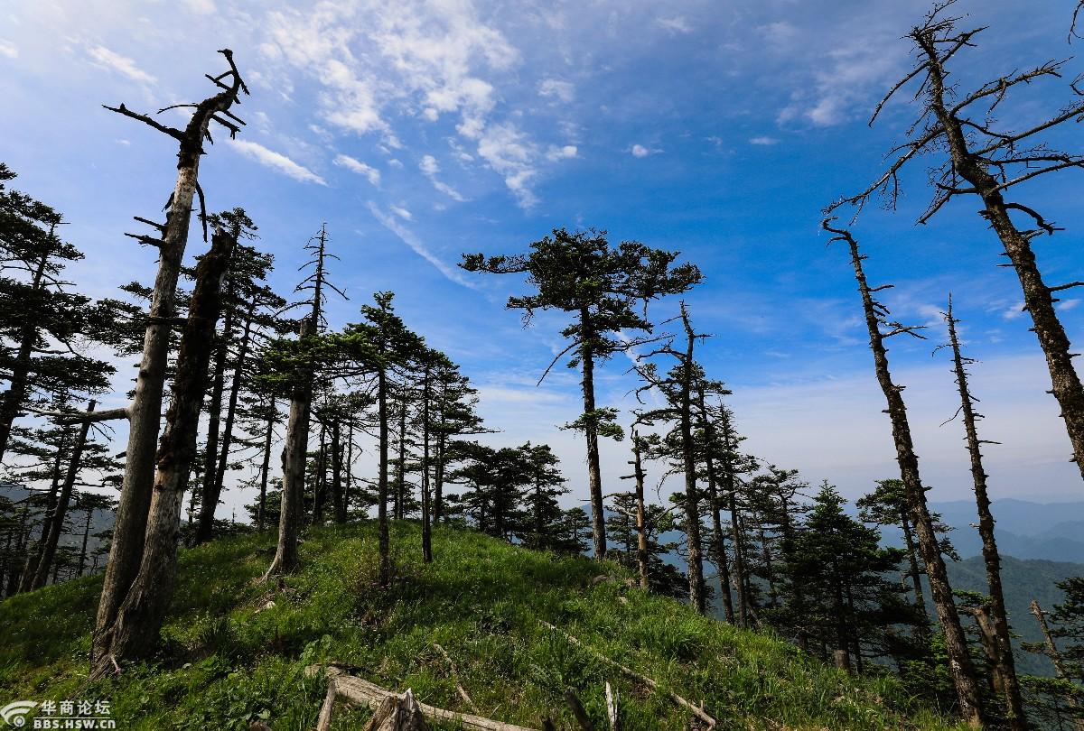 秦岭天华山西梁花海露营美女驴友高山秀场
