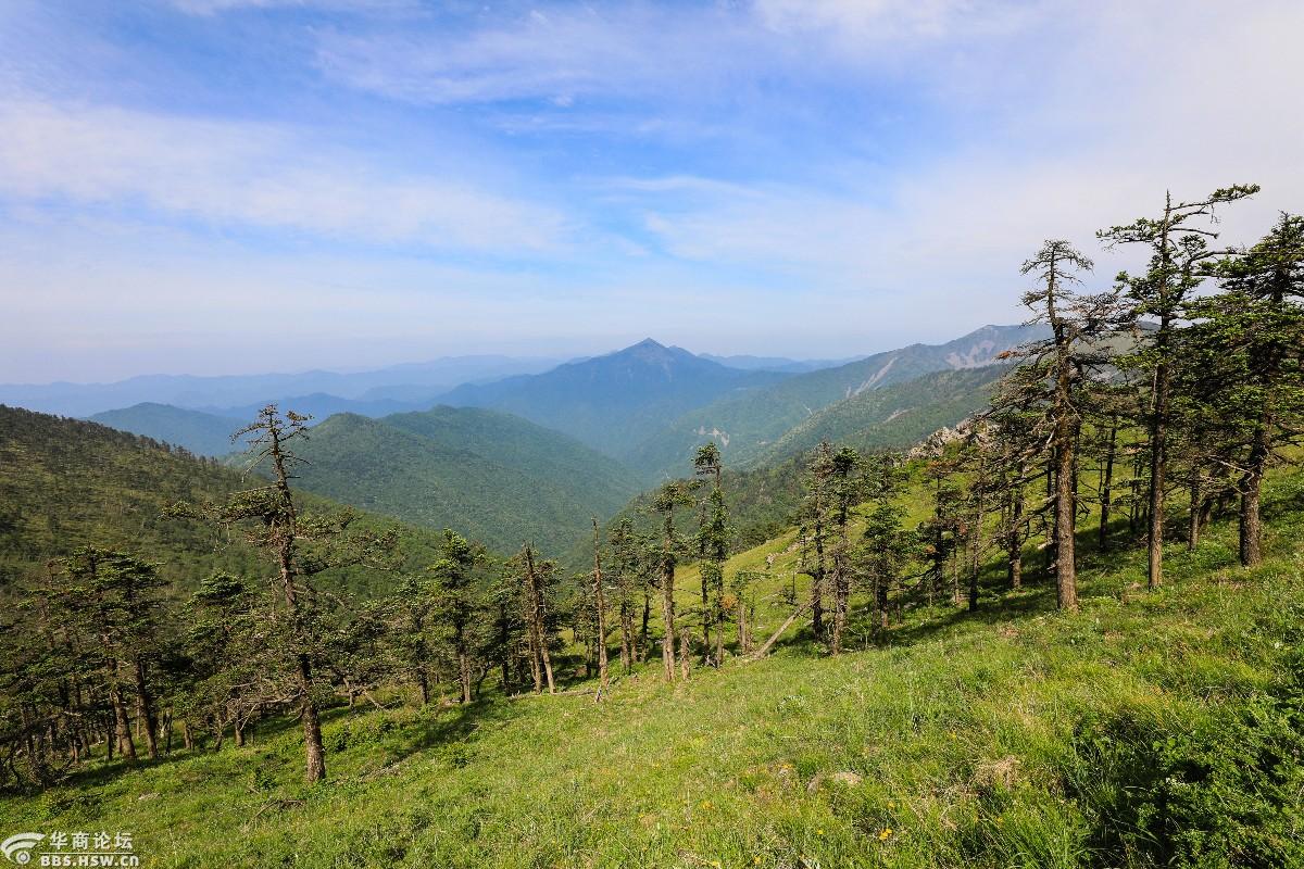 秦岭天华山西梁花海露营美女驴友高山秀场
