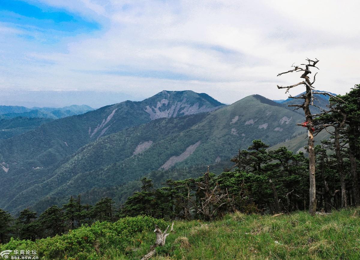 秦岭天华山西梁花海露营美女驴友高山秀场