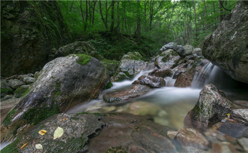 长安三千年共饮南山泉涟漪水业邀您共享终南山泉