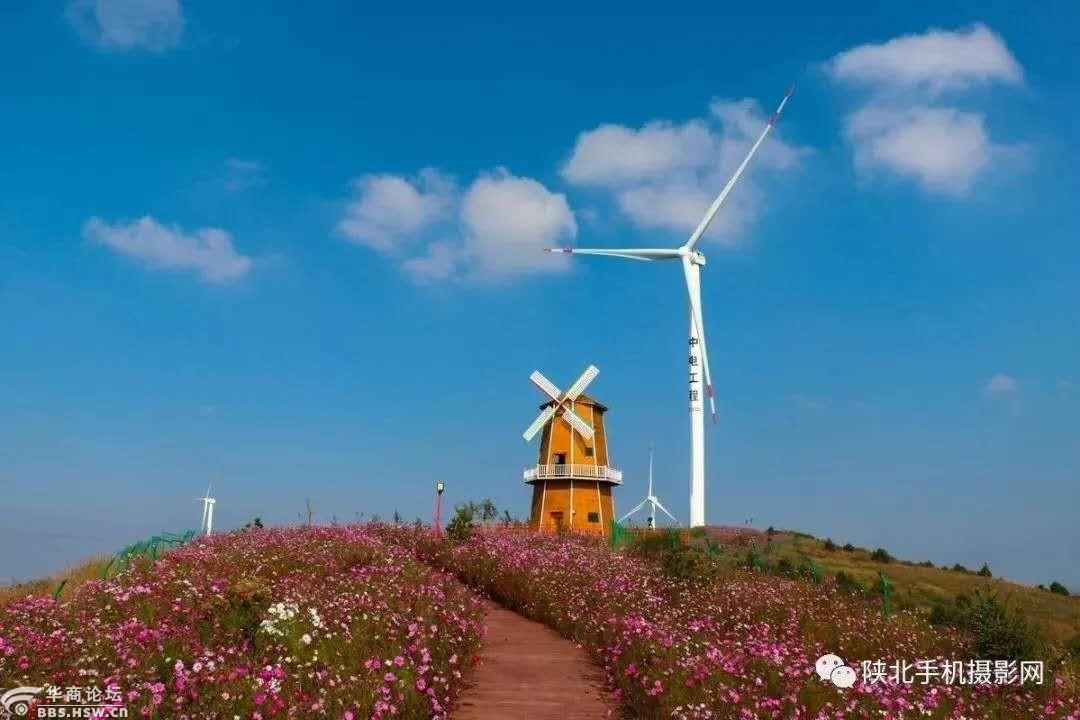 【惠享●旅游●生态黄龙】无量山,界头庙风车小镇洗肺避暑一日游