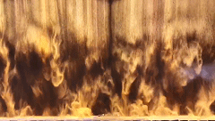 微信图片_20200610094823.gif