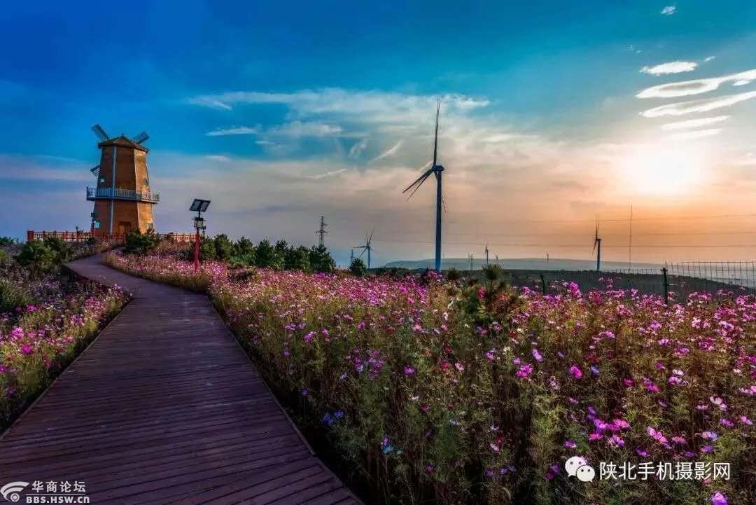 【惠享●旅游●生态黄龙】无量山,界头庙风车小镇洗肺避暑一日游