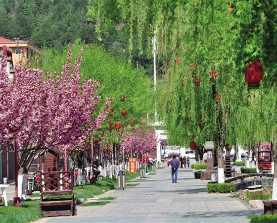 华商头条|太白：乡村“高颜值”逐梦“绿富美”