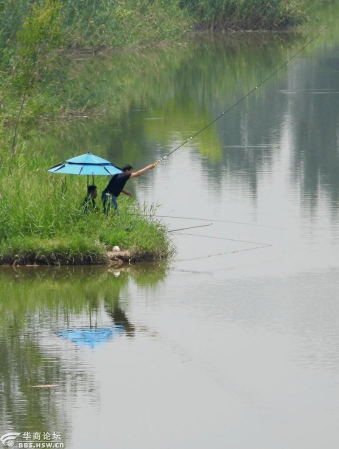 夏日水库垂钓乐无穷