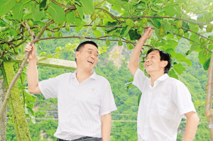 华商头条|张远满梦圆满了