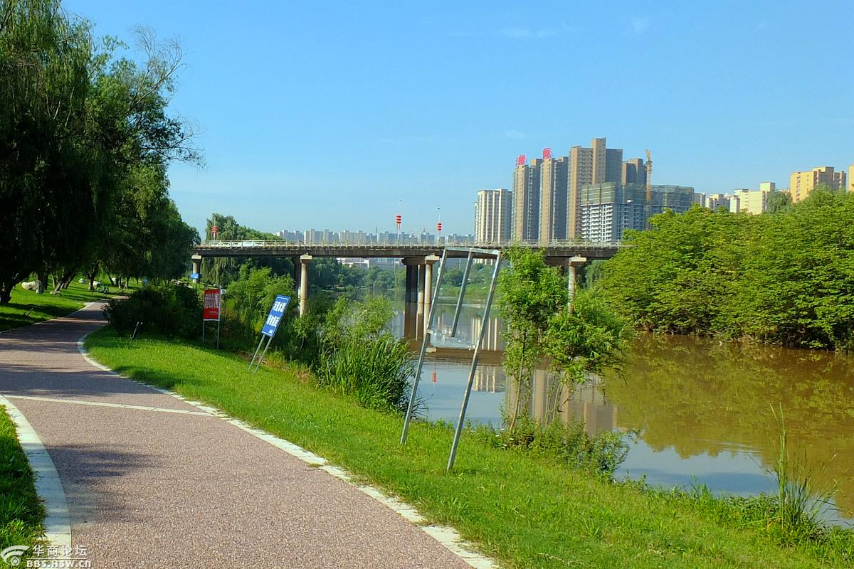 暑天水边游美哉沣河湾