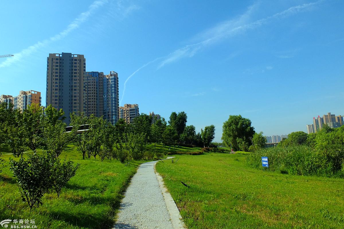 暑天水边游美哉沣河湾