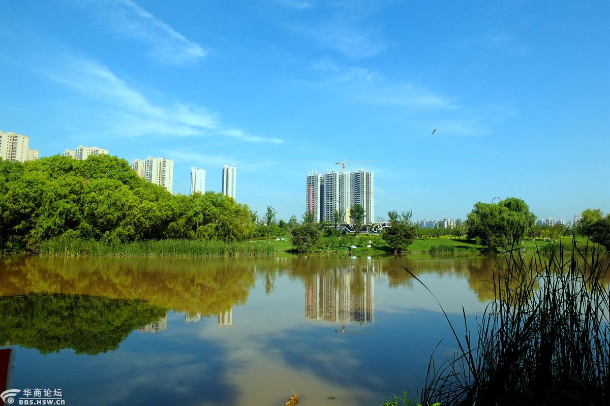 暑天水边游美哉沣河湾